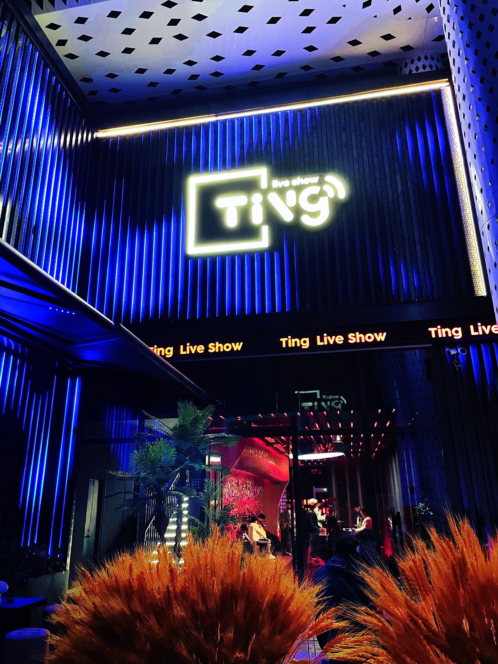 武汉商务ktv推荐商务ktv有没有优势-蔡甸区ktv预订